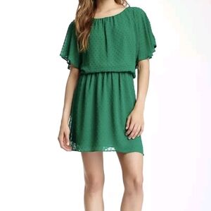 Anthropologie Greylin Green Flutter Sleeve Fairy Whimsical Strtchy Dress Size S
